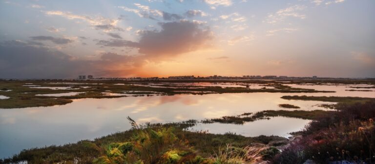 5 actividades imprescindibles en la Costa de la Luz para los amantes del mar y la naturaleza